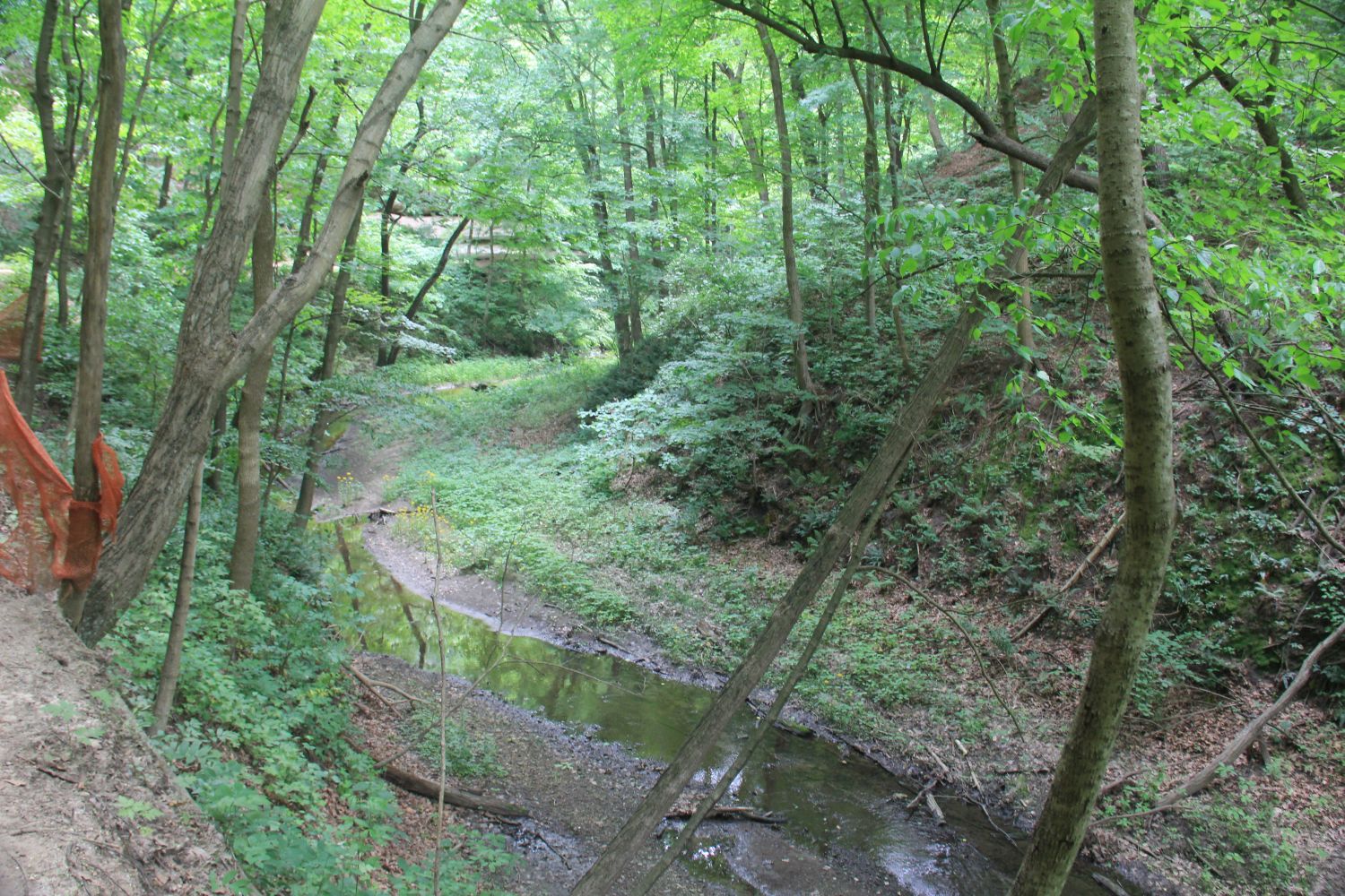 Starved Rock 